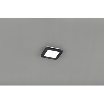 Plafoniera Camillus, RL, 17x17x3 cm, 9W, 1x SMD, plastic, negru mat