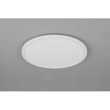 Plafoniera Joko, RL NOW, 42x3 cm, 22W, 1x SMD, plastic, alb